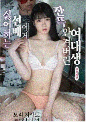 玄幻修真TXT全集封面
